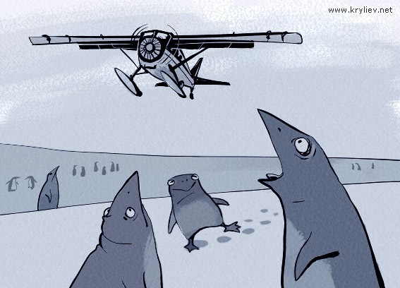 Профессия «Переворачиватель пингвинов». Миф или реальность