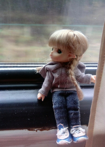 Юлька в Питере — Куклы Brownie (Брауни) Felix Doll: Tiny BJD (БЖД)