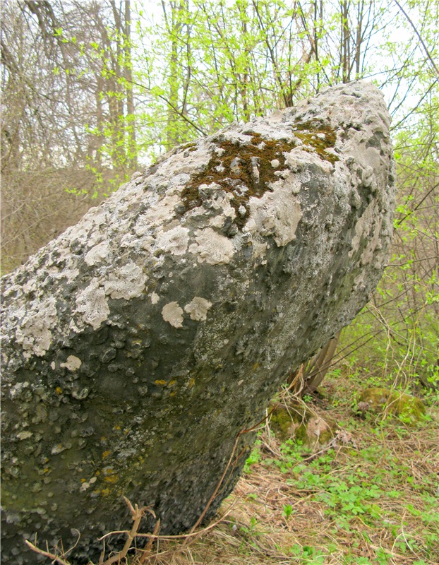 Майский день в Митино — Туризм и путешествия: фотоотчеты из поездок