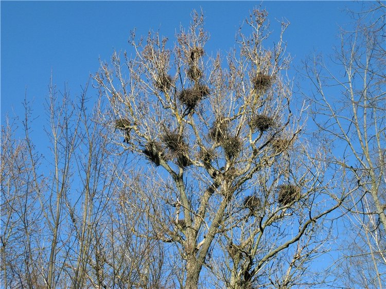 Путешествие в Бежецк, заключительная часть
