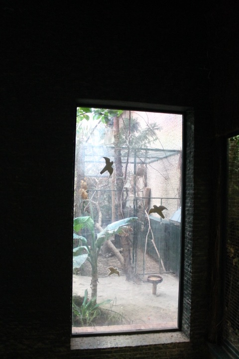 По Германии: зоопарк Лейпцига, часть 2