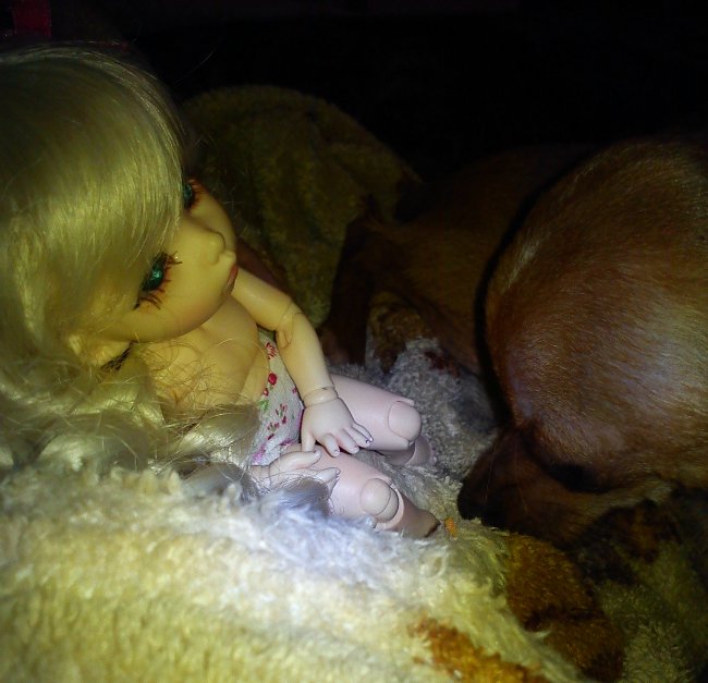 День Рождения Манюни. PukiFee Ante