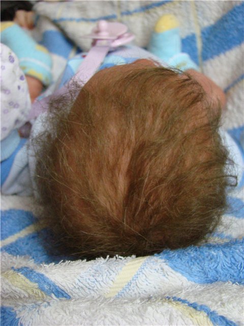 Филипок. Мой переделанный малыш беренжер