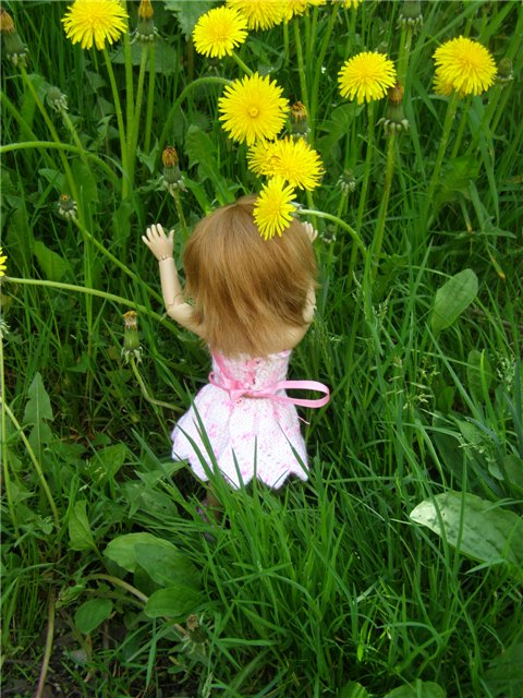 Воскресная прогулка (заключительная часть)