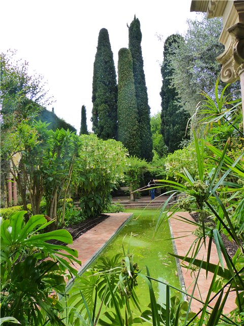 Мои фотозарисовки Лазурного берега Франции