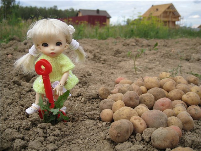 Маленькая дачница! Пукифи Анте Элис | Бэйбики Маленькая дачница! Пукифи Анте Элис