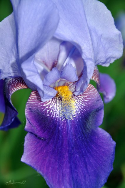 Моя вторая Olivia от Helen Kish | Бэйбики Моя вторая Olivia от Helen Kish