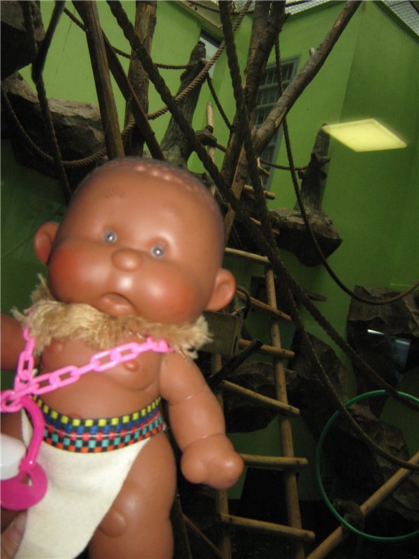 Пупсы Nines Artesanal D'Onil в Ижевском зоопарке