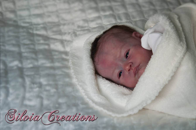 Новый молд Will от Натали Шолль (фото 10)