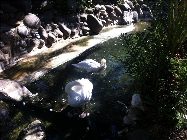 Большое путешествие маленькой девочки. Kaye Wiggs, Nutmeg