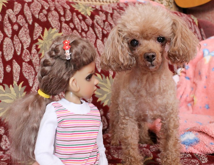 Знакомство Лолы, Kaye Wiggs