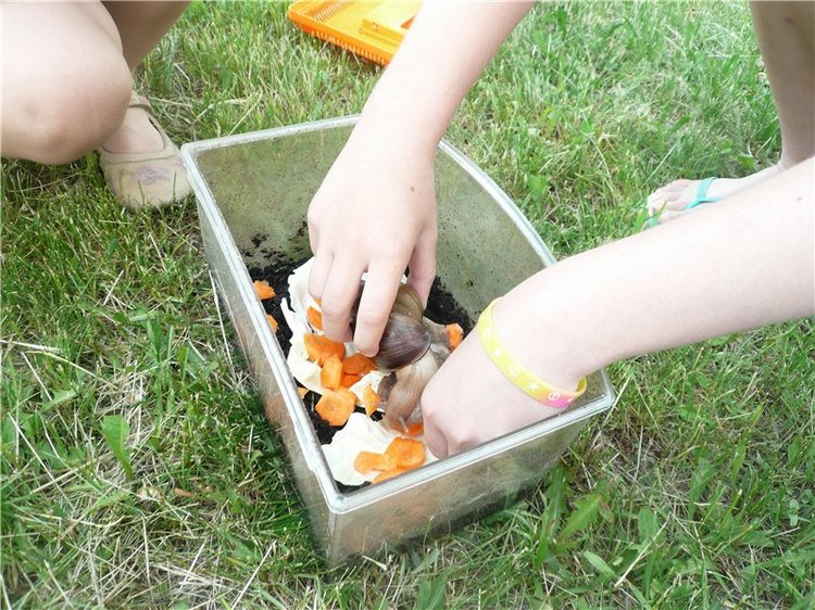 Моя Диана от Euro Girl — Куклы EuroGirls Diana Collection: формат 18" (46 см)