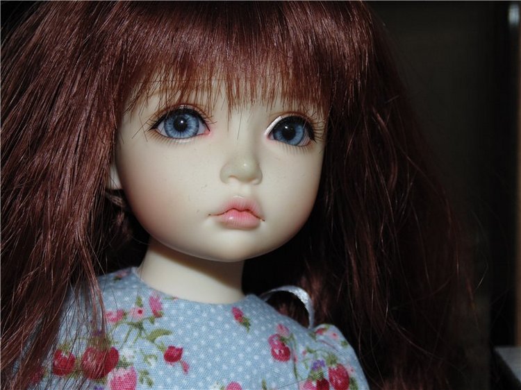 Первые шаги в декорировании