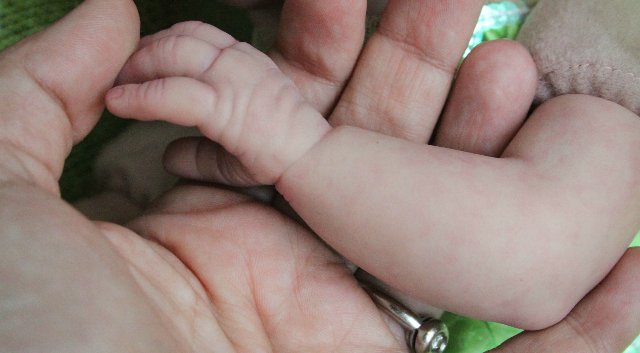 Офелька-Цветочек. Кукла реборн Элины Кудрявцевой