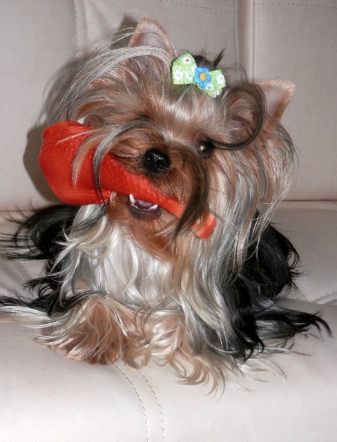 Гаечка, Болтик и немного Ноэль (фото 5)