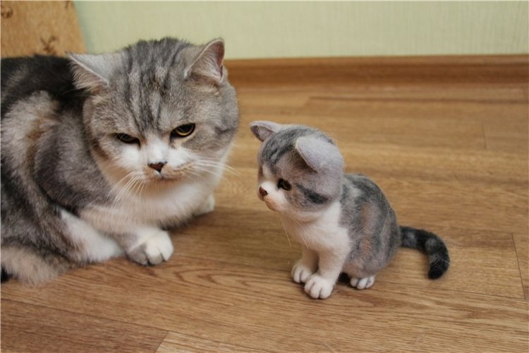 Котик Дени. Авторская игрушка Анны Ястрежембовской