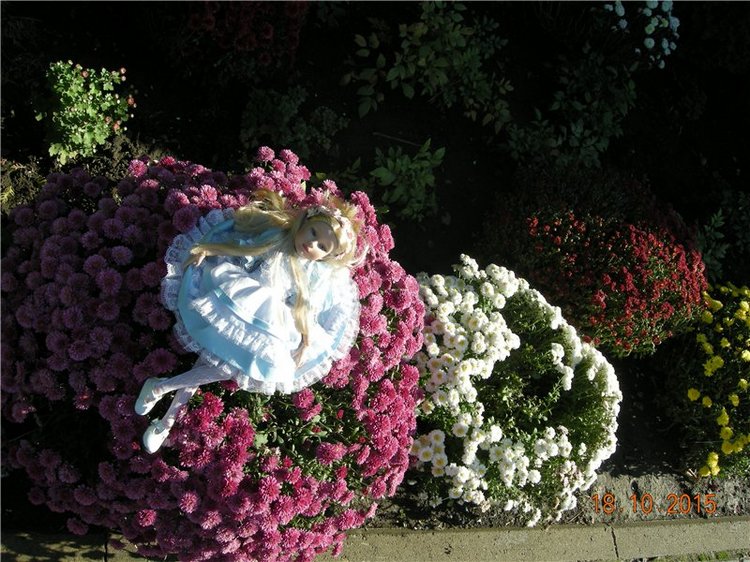 Первые прогулки Алисы — Фэшн