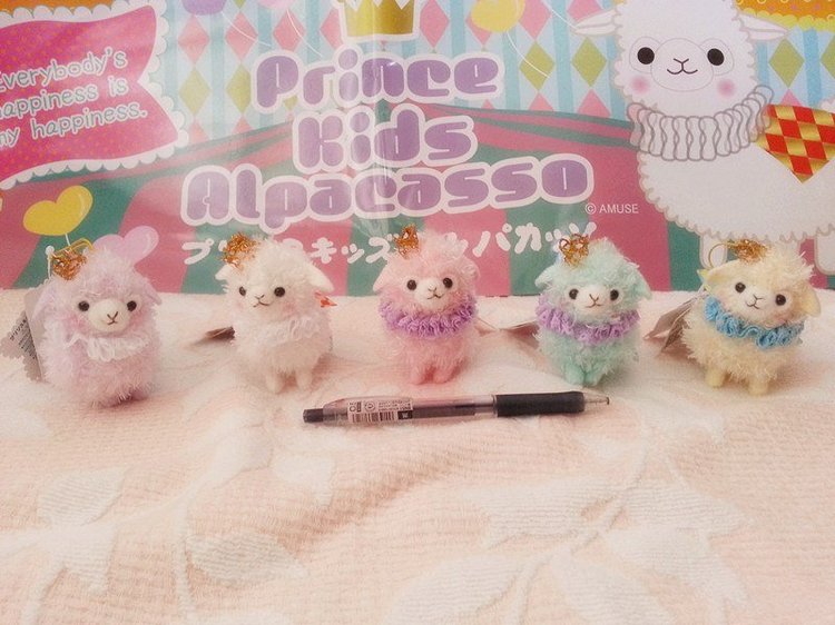 Японские альпаки Alpacasso (Amuse)