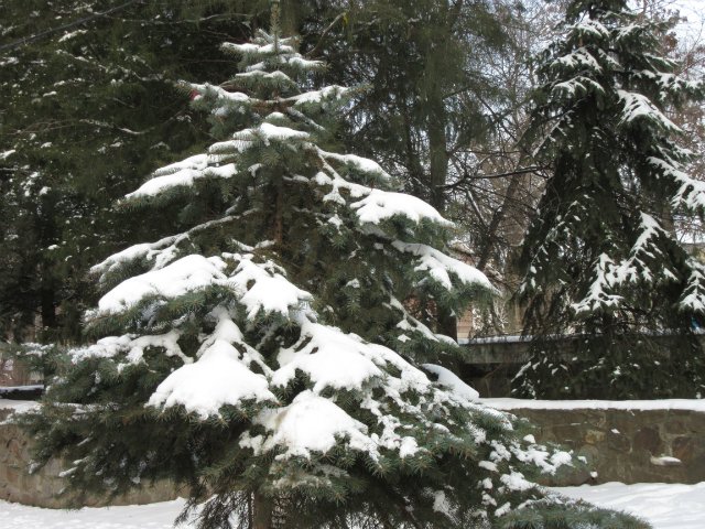 Чем бы заняться юному лорду 30 декабря