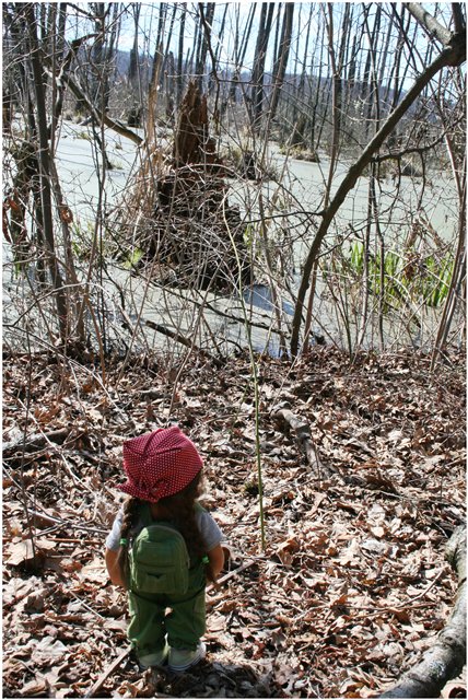 Небольшой поход Вихтелят на Ирдынские болота (фото 6)