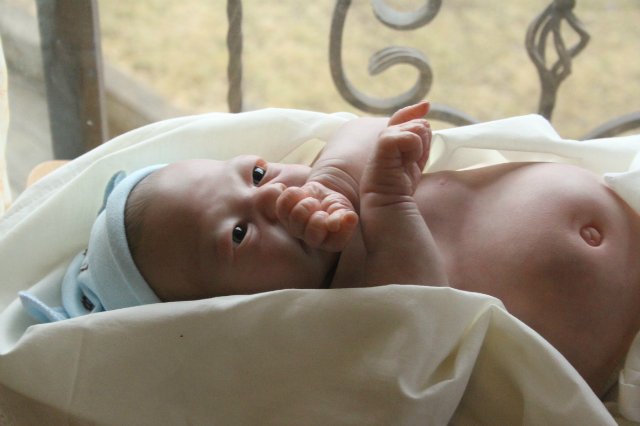 Филипка, кукла реборн Элины Кудрявцевой