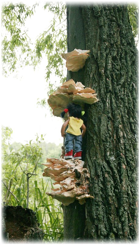 Из жизни маленькой банды, детки Gabriele Müller