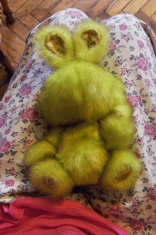 История одного ушастого товарища по имени Фанни (фото 2)