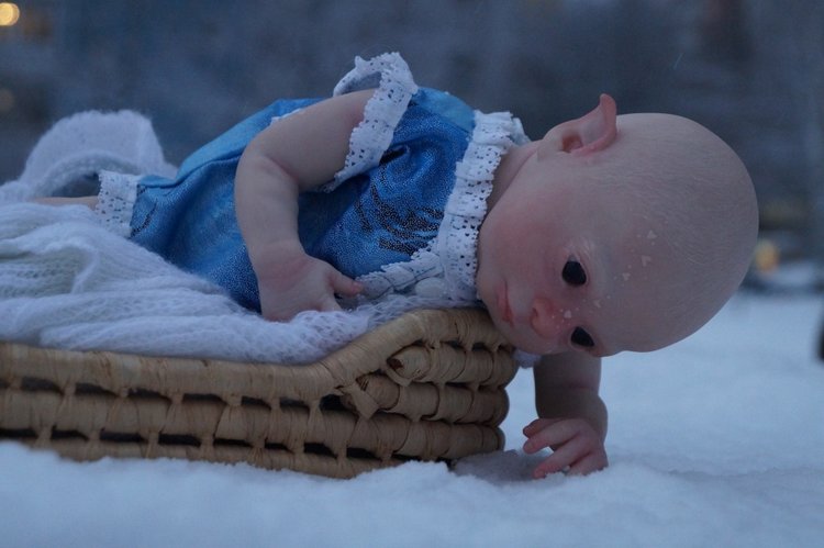 Зимний эльф Снежан — Куклы Реборн (Reborn): работы мастеров (фото 10)
