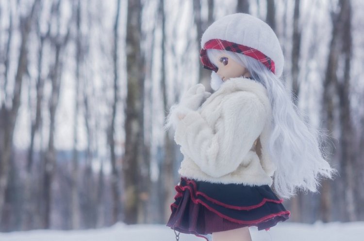 Красивые волшебные фотографии кукол от Azure Япония (фото 4)