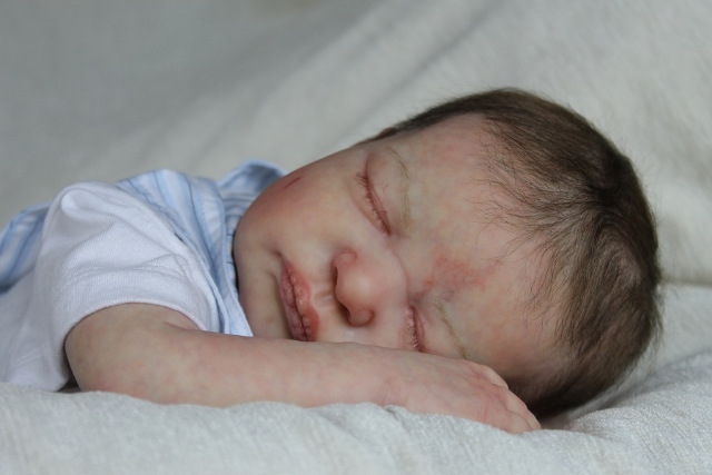 Сиренити от Екатерины Бойковой. Serenity Laura Lee Eagles