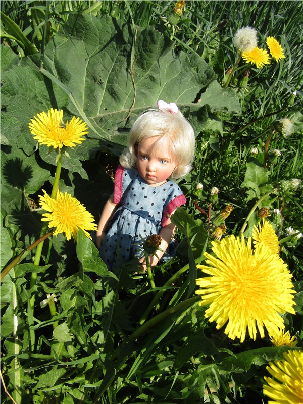 Сине-голубое настроение. Флора Helen Kish среди цветов в парке (фото 6)