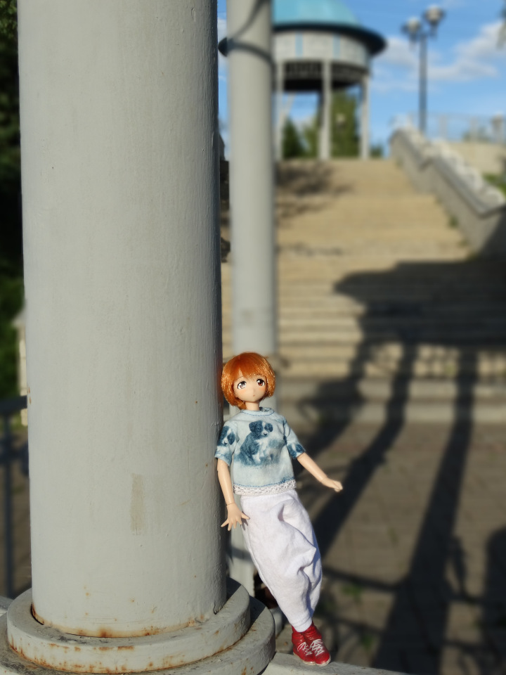 Путешествие с Азоночками Azone doll