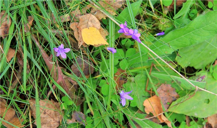 Тверской Водопад — Туризм и путешествия: фотоотчеты из поездок