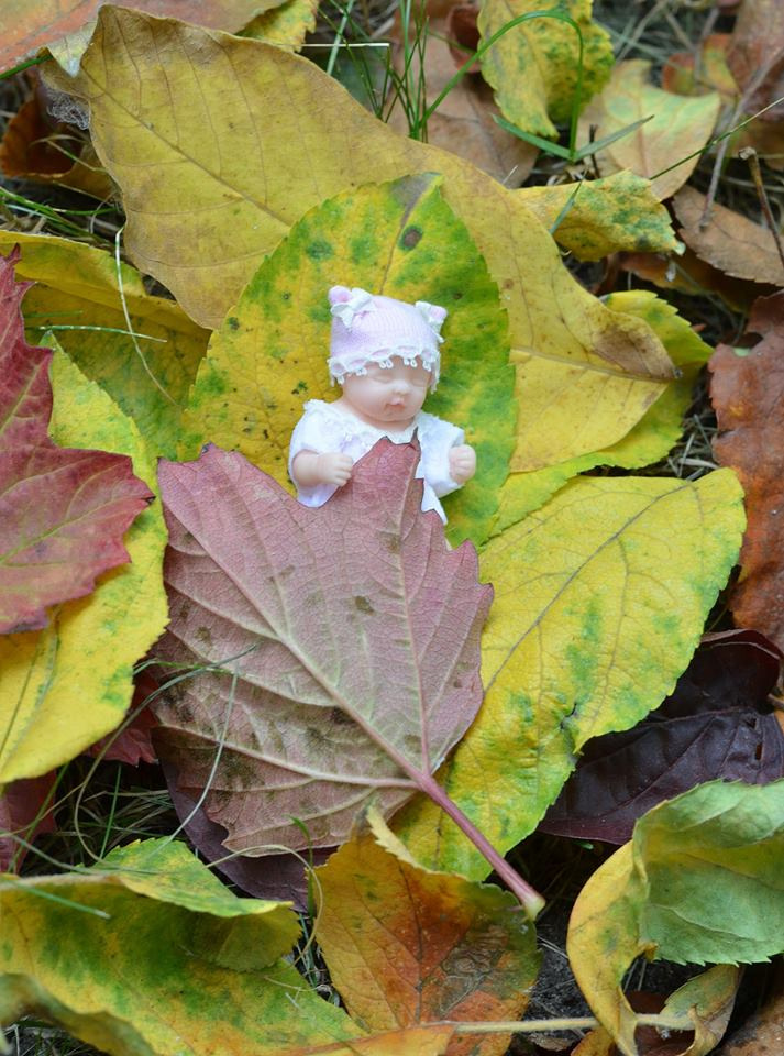 Мои микро малышки в фотосессиях (фото 8)