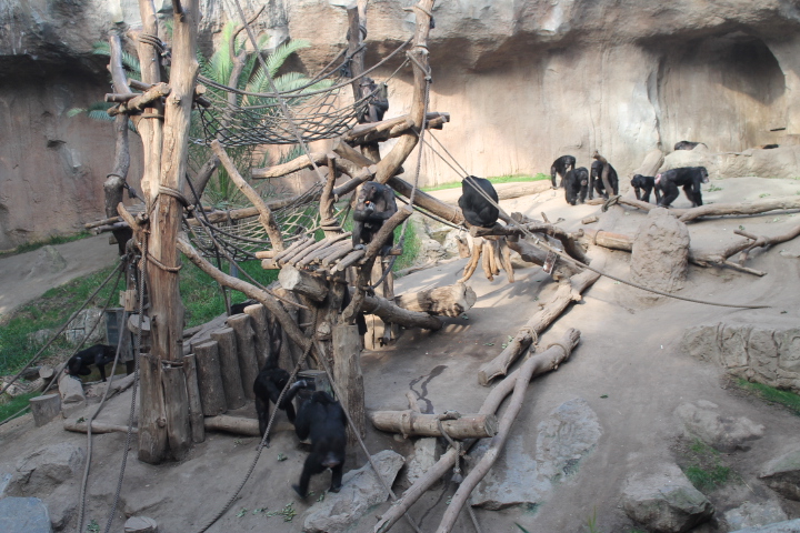 По Германии: зоопарк Лейпцига, часть 1