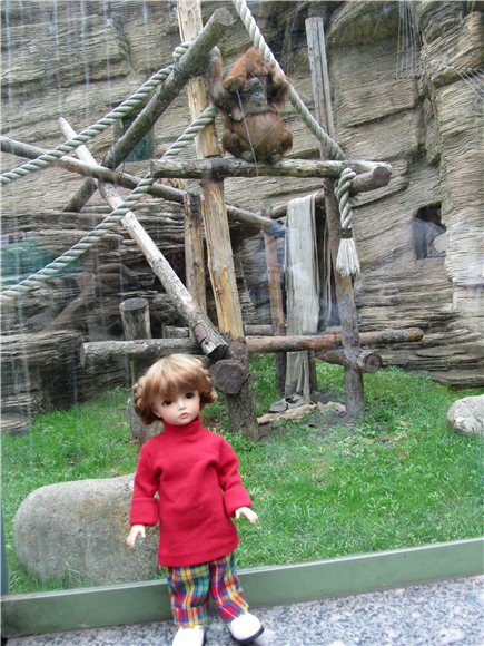 Наша традиционная майская прогулка по Московскому зоопарку