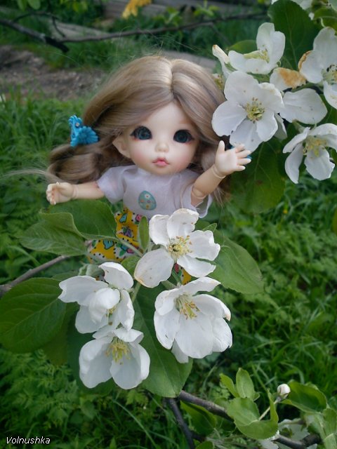 Тёплый майский вечерок Манюньки. PukiFee Ante (фото 9)