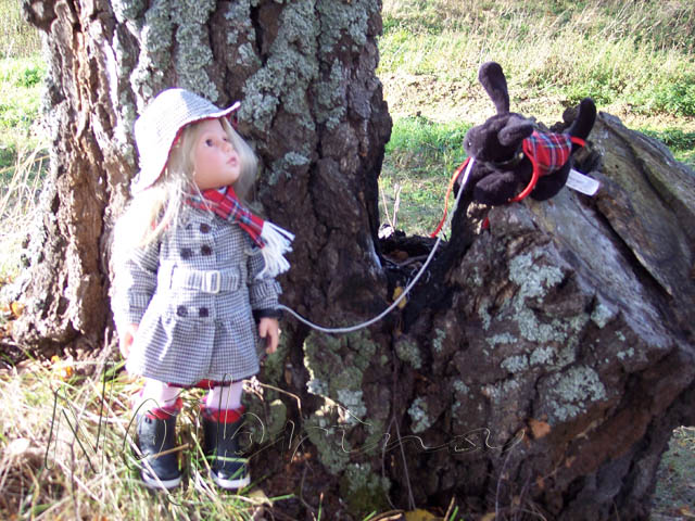 Осенняя поездка. Куклы Gotz и Berenguer