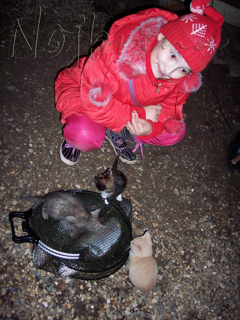 Осенняя поездка. Куклы Gotz и Berenguer