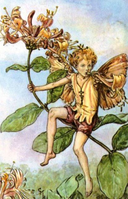 Долгая жизнь цветочных фей от иллюстраций Cicely Mary Barker до кукол Birgitte Frigast