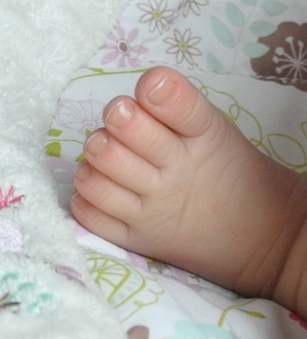 Кукла-реборн из молда Шэннон. Моя четвертая версия