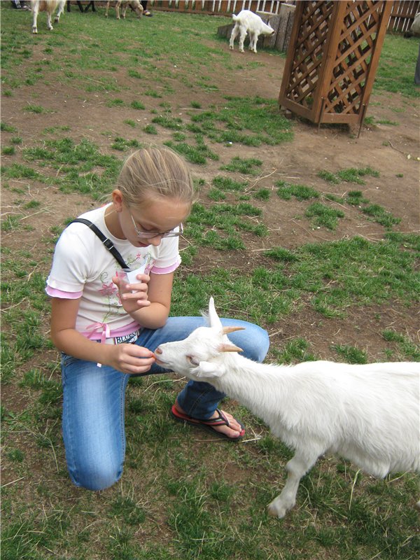 Пупсы Nines Artesanal D'Onil в Ижевском зоопарке