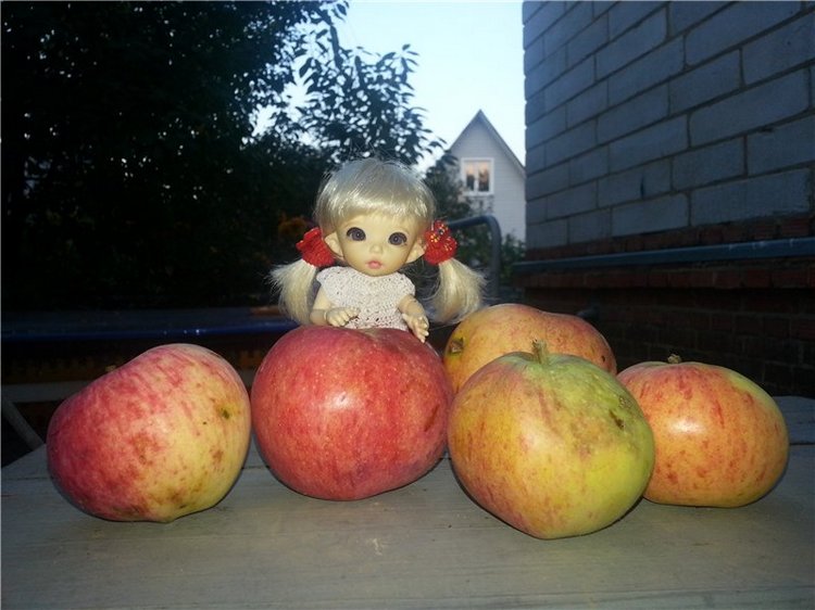 Маленькая дачница Элис. Кукла БЖД Пукифи Анте