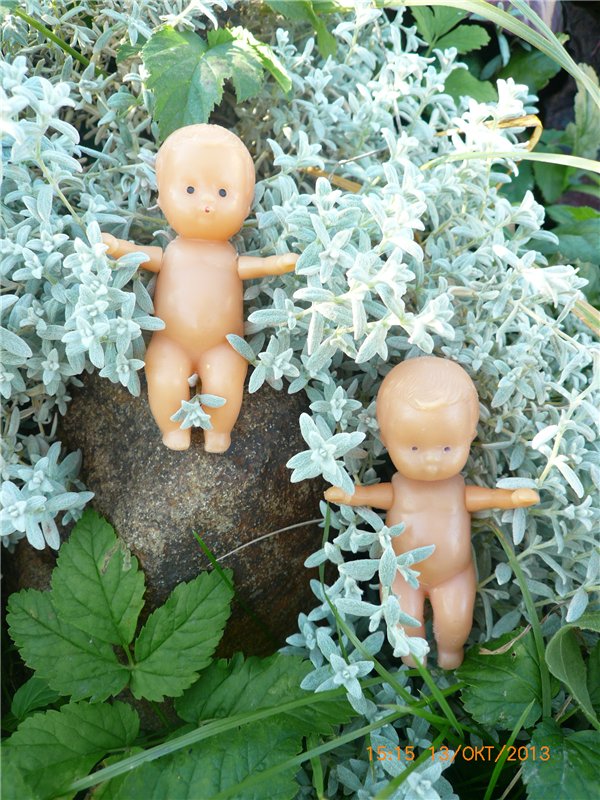 Пупсики родом из детства! Начало коллекции