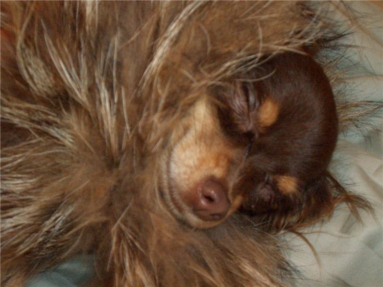 Учимся крепко спать — Болталка и разговоры обо всем: жизнь