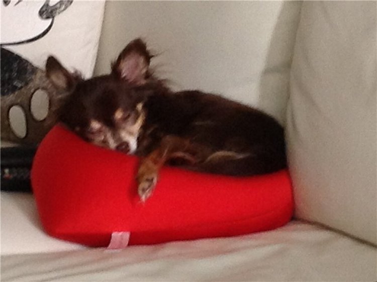 Учимся крепко спать — Болталка и разговоры обо всем: жизнь