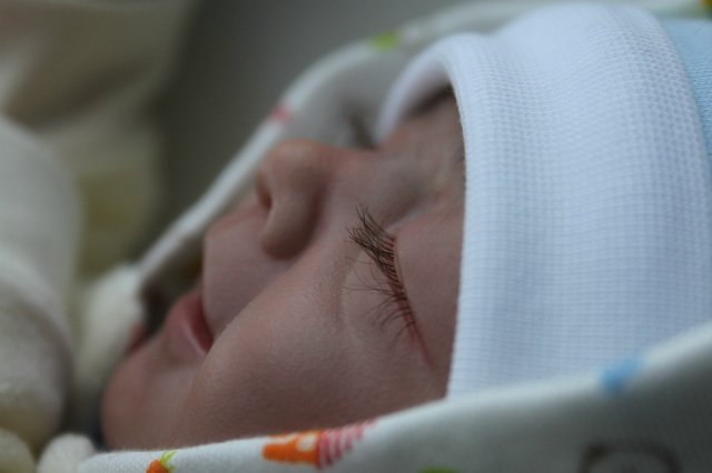 Мои двойняшки-кукла реборн Элины Кудрявцевой (фото 8)