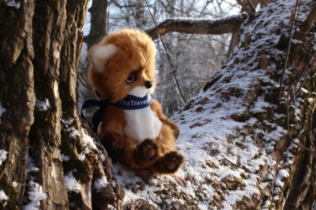 Создание лисёнка — Авторские мишки Тедди и друзья: фото (фото 10)