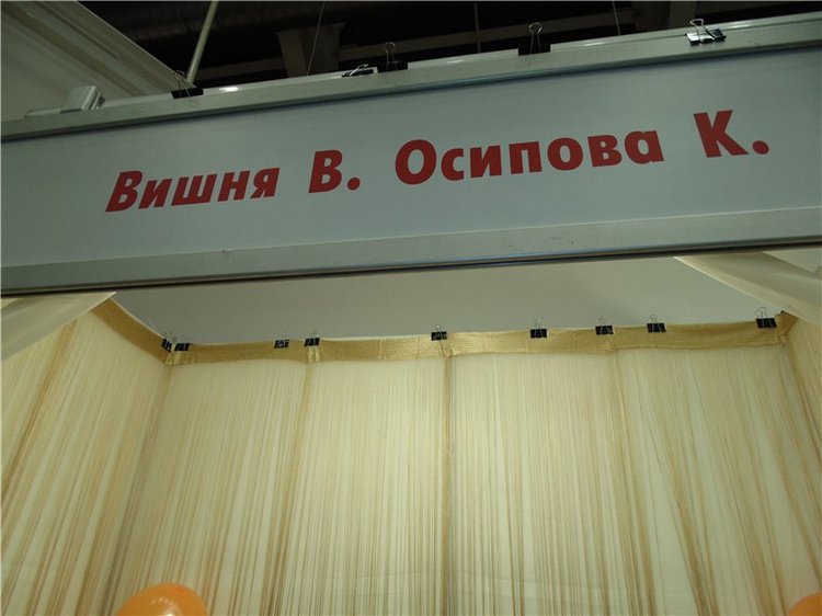Выставка кукол на Тишинке моими глазами. Moscow Fair 2015. Куклы реборн | Бэйбики Выставка кукол на Тишинке моими глазами. Moscow Fair 2015. Куклы реборн