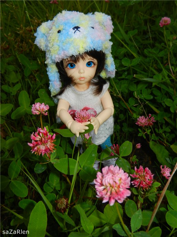 Варвара путешевственница (Литтлфи Анте)